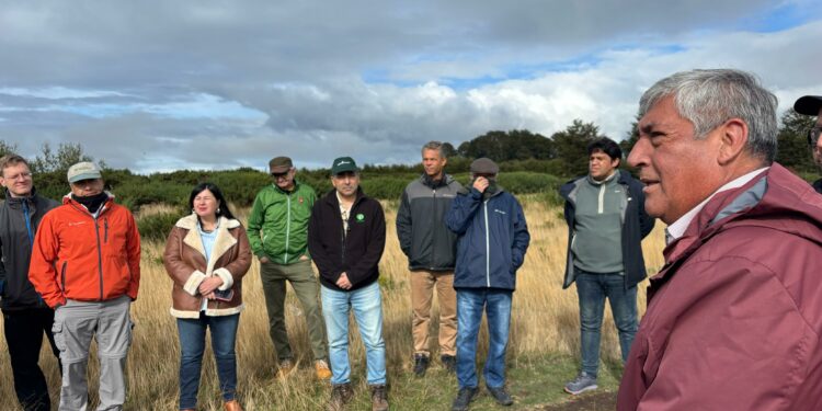 Autoridades destacan recuperación ecológica en bosque experimental de Puacura