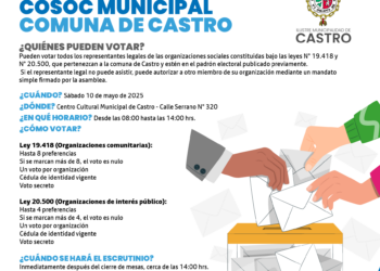 ¡Atención organizaciones sociales de Castro! Conoce a los postulares al COSOC