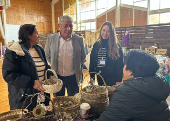 Castro celebró la creatividad local en la Feria de Innovación y Emprendimiento Municipal