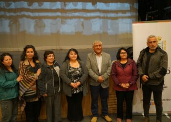 Tras 14 años, Castro ya tiene nuevo COSOC: dirigentes fueron elegidos por votación popular