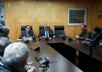 Tras 14 años asumen los 12 nuevos integrantes del COSOC de Castro