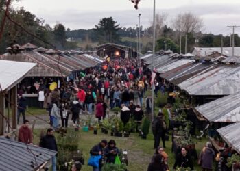 Todo un éxito fue esta VI versión del Festival de la Cazuela, Caldillos, Caldos y Sopas
