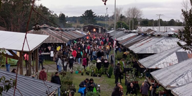 Todo un éxito fue esta VI versión del Festival de la Cazuela, Caldillos, Caldos y Sopas