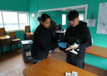 Vecinos de Llicaldad Bajo valoran operativo sanitario que beneficio a sus mascotas