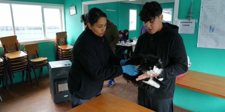 Vecinos de Llicaldad Bajo valoran operativo sanitario que beneficio a sus mascotas