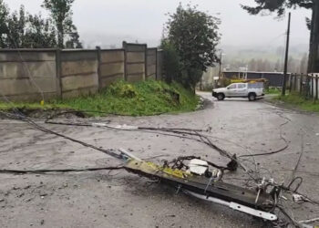 Municipalidad de Castro y Gestión Ambiente coordinan acciones tras caída de postes en Ten Ten