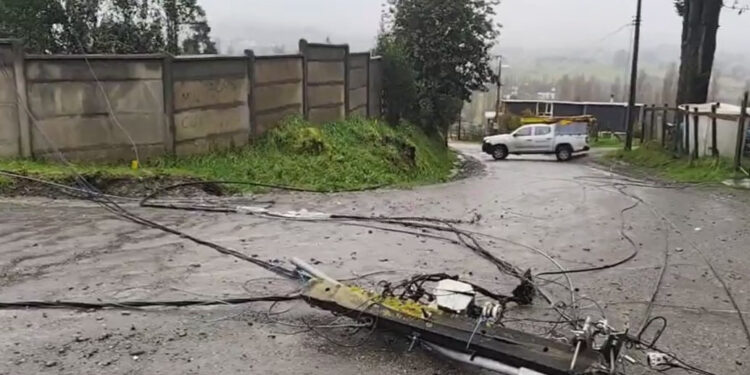 Municipalidad de Castro y Gestión Ambiente coordinan acciones tras caída de postes en Ten Ten