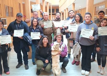 Municipalidad de Castro impulsa taller de prevención de mordeduras y tenencia responsable de mascotas