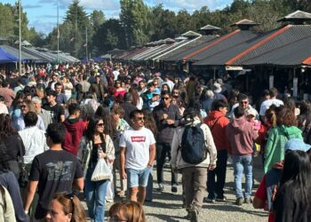 Municipio anuncia inicio de postulaciones para Feria de la Biodiversidad y Festival Costumbrista de Chiloé