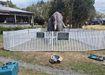 Parque Municipal de Castro: Gonfoterio queda protegido con cierre perimetral