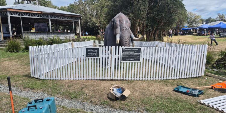 Parque Municipal de Castro: Gonfoterio queda protegido con cierre perimetral