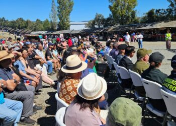 Arranca la 45° versión del Festival Costumbrista de Castro destacando su legado histórico