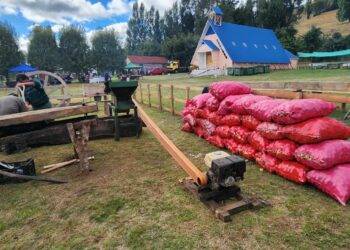 Fiestas costumbristas de Yutuy y Ducán invitan a disfrutar gastronomía y tradiciones chilotas