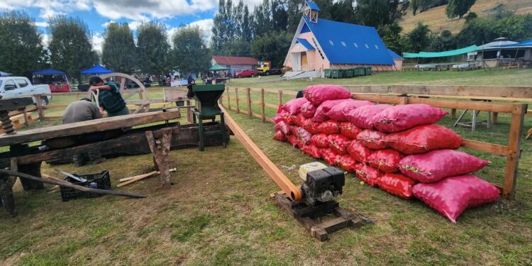 Fiestas costumbristas de Yutuy y Ducán invitan a disfrutar gastronomía y tradiciones chilotas