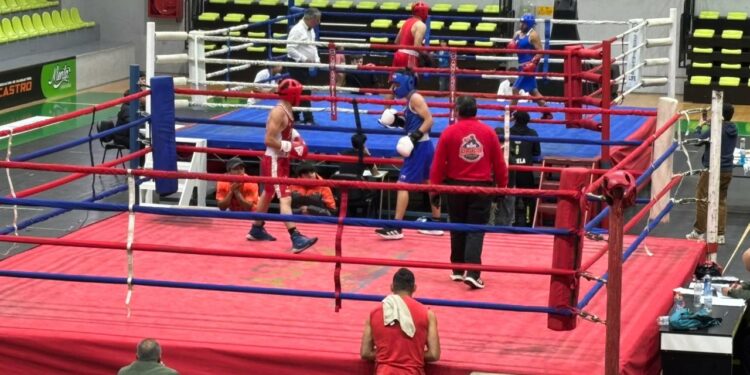 Municipalidad de Castro respalda exitosa jornada de boxeo realizada en el Gimnasio Municipal