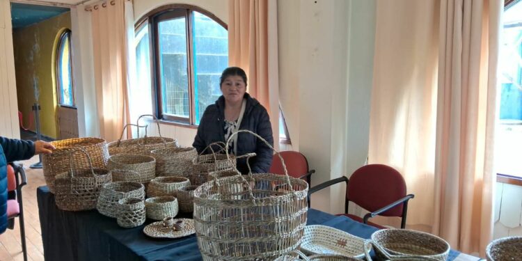 Artesana- Adelina Soto