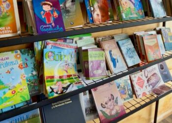 Castro concreta tercera donación de libros en Isla Quehui en la antesala del Mes del Libro