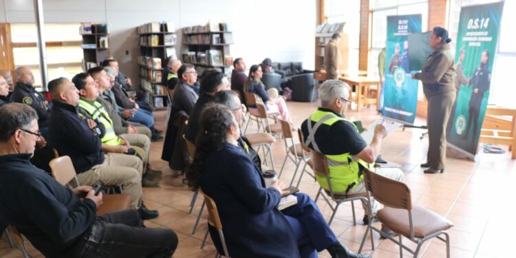 Municipalidad de Castro refuerza preparación en seguridad comunal con nueva ley