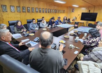 Vecinos y dirigentes se pliegan a llamado del alcalde de Castro por seguridad vial en Ruta 5 Sur y By Pass