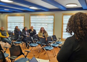 Emprendedores se capacitan en modelo de negocios y video Pitch en Castro