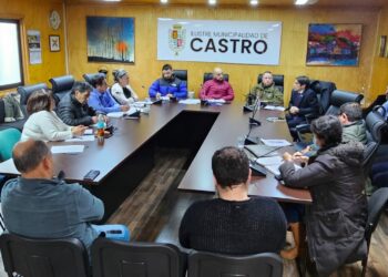 Municipio de Castro y gremio de taxis colectivos fortalecen coordinación por la seguridad vial y el ordenamiento del tránsito