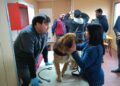 Castro refuerza la tenencia responsable con operativos veterinarios gratuitos