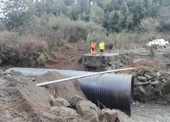 Municipalidad de Castro avanza en trabajos para apertura de la ruta en sector Carpe Diem