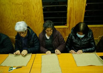Taller de Arpilleras inició en Villa Alerce con alta participación de vecinas