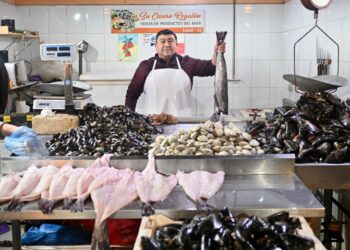Feria José Sandoval: Aprueban $326 millones para modernizar alcantarillado de pescadería