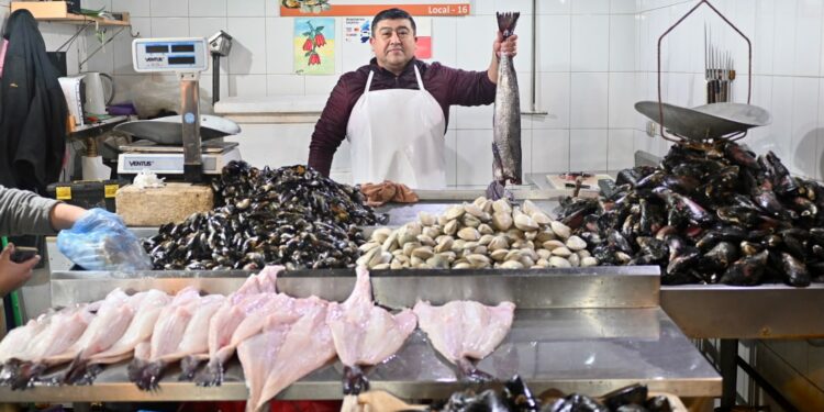 Feria José Sandoval: Aprueban $326 millones para modernizar alcantarillado de pescadería