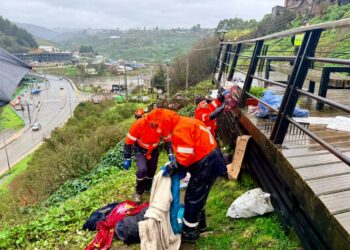 Vecinos alertaron al 1427 y municipalidad recuperó en concurrido mirador de Astillero Sur