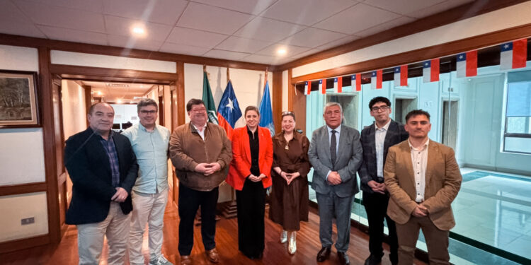 Municipalidad de Castro presenta en Santiago sus requerimientos en material de Seguridad Pública