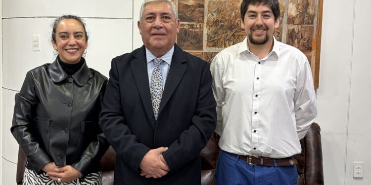 Presentan a nuevos directores de los Cesfam Quillahue y Dr. René Tapia